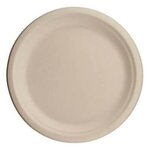 10" Eco-Friendly Plates - The 500 Line