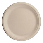 10" Eco-Friendly Plates - The 500 Line