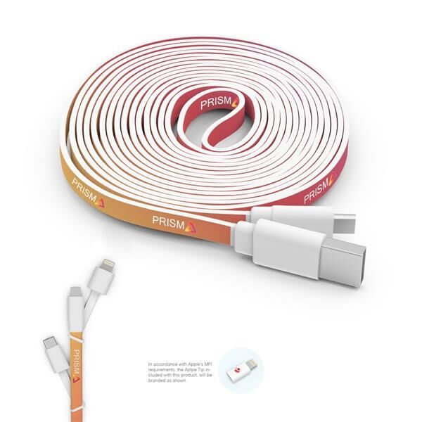Main Product Image for 10 FOOT BRANDED TRIPLE TIP CABLE