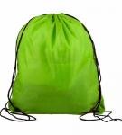 15" x 18" Drawstring Backpack - Lime Green