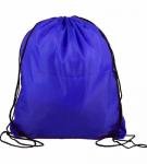 15" x 18" Drawstring Backpack - Royal Blue