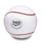 16" Sport Beach ball -  