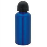 16.9 oz. Domed Flask - Blue