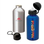 16.9 oz. Domed Flask -  