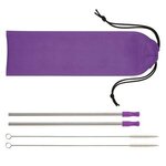 2-Pack Stainless Steel Straw Kit - Purple