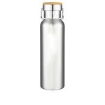 20 oz. Double Wall Stainless Steel Bottle - Silver