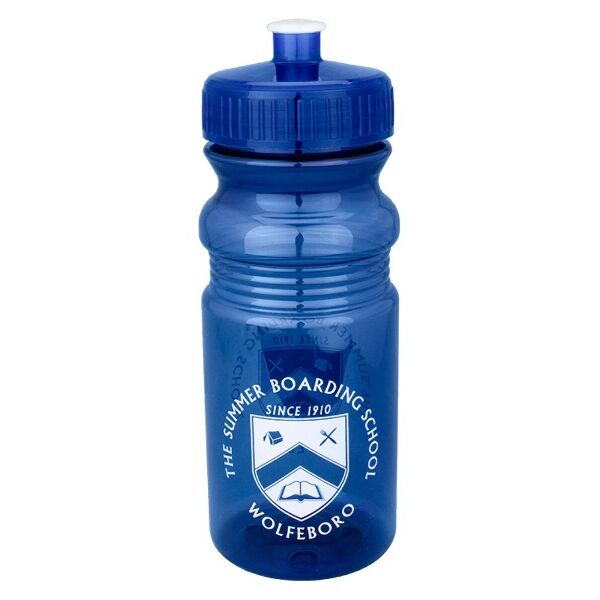 Main Product Image for 20 oz. Translucent Sports Bottle