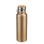 21oz Breckenridge Stainless Steel Bottle