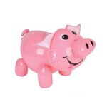 24 Pig Inflate