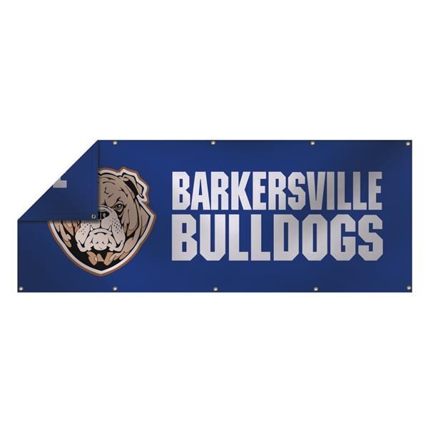 Main Product Image for Smooth Vinyl Banner Double-Sided 3' x 8' 13 Oz 