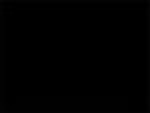 4mm CORO Yard Sign -  black