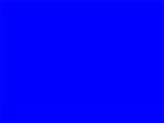 4mm CORO Yard Sign -  blue