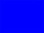 4mm CORO Yard Sign -  blue