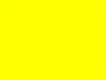 4mm CORO Yard Sign -  yellow