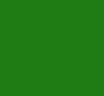 5" Color Flyer - Full Color - Green