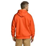 Alternate product view #28