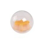Design this item in Assorted