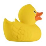 Alternate product view #2