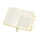 Alternate product view #10