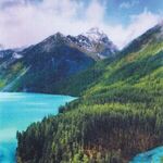 Alternate product view #4