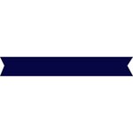 Design this item in Navy
