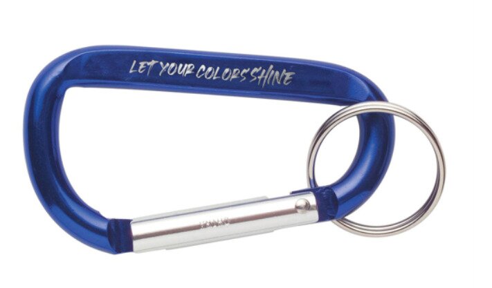 Main Product Image for Custom Printed Carabiners With Keyring