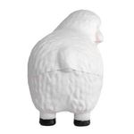 Alternate product view #2