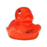 Alternate product view #5