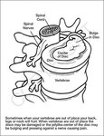 A Visit to the Chiropractor Coloring Book Fun Pack -  