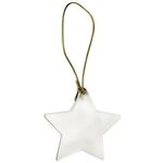 Acrylic Star Ornament - Clear