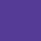 Aero Foam Football 8" - Purple