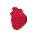 Buy Anatomical Heart Pencil Top Eraser