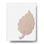 Aspen Shaped Plantable Gift Pack