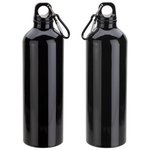 Atrium 25 oz Aluminum Bottle -  