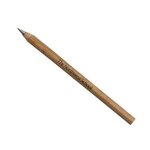 Bamboo Pen -  