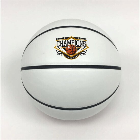 Main Product Image for Basketball - Full Size Rawlings 4 Panel - Full Color Print