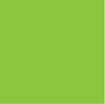 Bracelet Coil Keychain - Lime