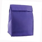 Budget Lunch Cooler - Purple