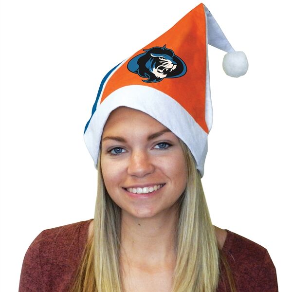 Main Product Image for Christmas Hat