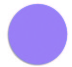 Circle Jar Opener - Purple 268u