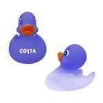 Color Changing Rubber Duck -  