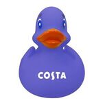 Color Changing Rubber Duck -  