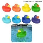 Colorful Duck -  