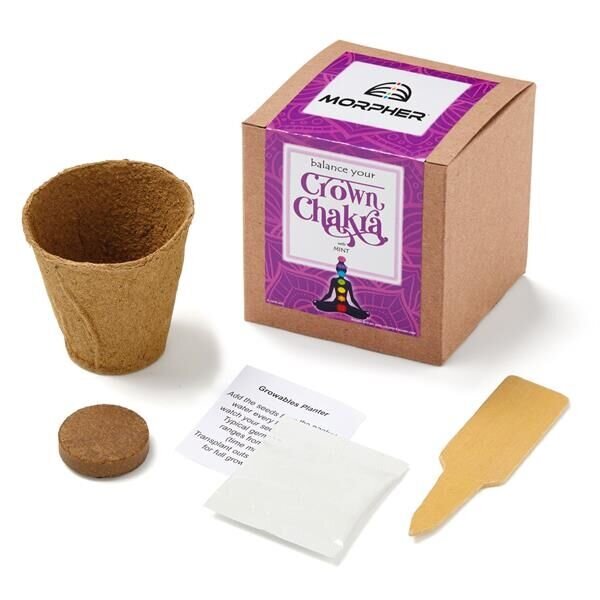 Main Product Image for Crown Chakra Growable in Kraft Gift Box