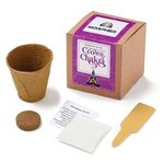 Crown Chakra Growable in Kraft Gift Box -  