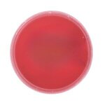 Custom Imprinted Round Pencil Sharpener, Full Color Digital - Red