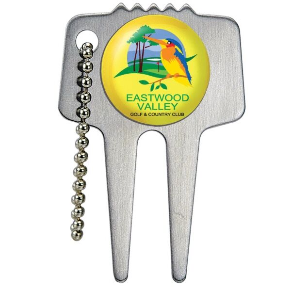Main Product Image for Domed Steel Divot Tool