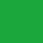 Express Primary Kit - Digital - Green