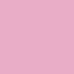 Express Primary Kit - Digital - Pink