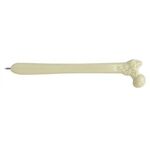 Femur Bone Pen -  